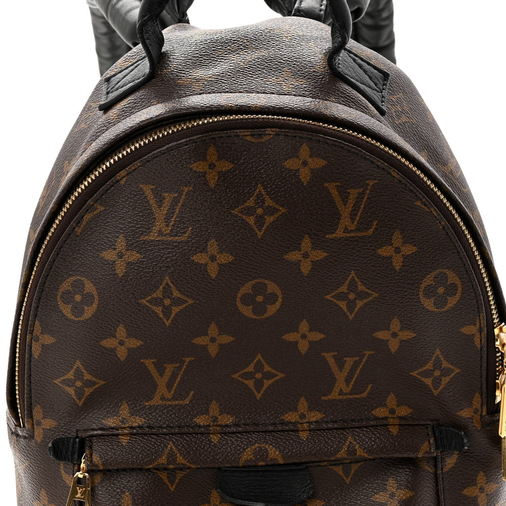 Monogram Palm Springs Backpack PM