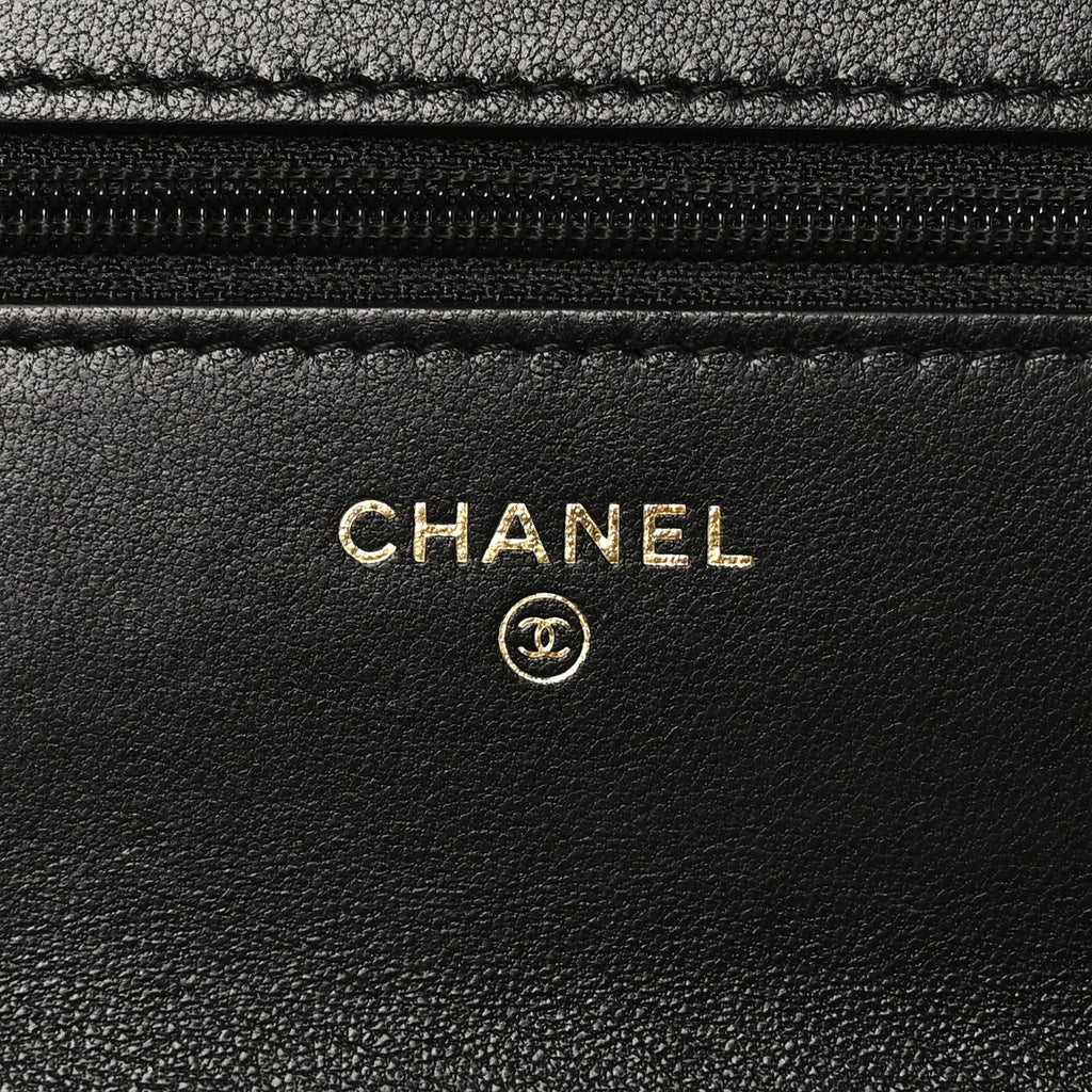 Lambskin Quilted Chanel 19 Wallet On Chain WOC Black